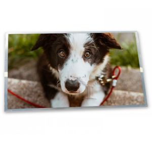 Quality TX13D200VM5BAA 640*480 Resolution LCD Modules Custom ODM 5.0-Inch WLED LCD Display Module for sale