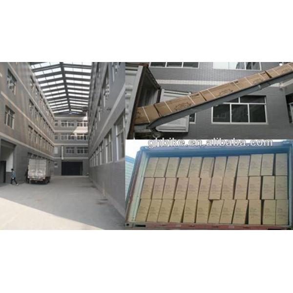 20 Inch Steel Material Frame Chopper Bike with F Disc Brake and R Coaster Brake