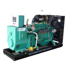 100kw 200kw Natural Gas Generator Biogas Generator