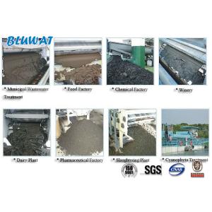 Cationic Polyacrylamide Flocculant for Pulp and Paper Sludge Dewatering