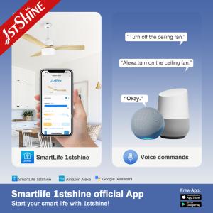 Modern Room Decoration 110v 220v DC Ceiling Fan with Lights and Remote Made of