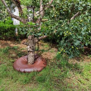 Tree Watering Bag 15 Gallon Portable Slow Release Irrigation with Plastic