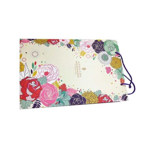 Recyclable Custom Paper Gift Bags Pantons Colors Various Sizes Eco - Friendly