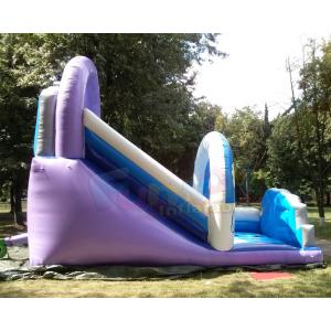 Polar Bear Inflatable Bouncy Castle With Slide Fully Digital Printing