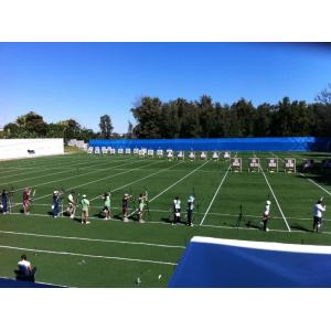 Dtex 10000 Green Artificial Football Fake Grass 15mm pile height For Sports and