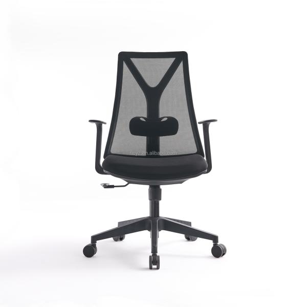 Metal Type Stainless Steel Office Computer Chair with Lumbar Support and Revolving Design
