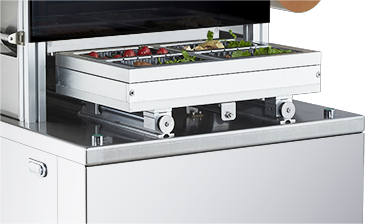 Automatic Vacuum Displacement Vertical Modified Atmosphere Sealer Plastic