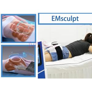 100Hz Electromagnetic Muscle Training EMS EMShapeing Machine
