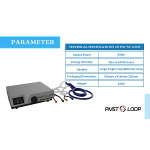 2024 Pemf Therapy Devices with Magic Mat Pads and Butterfly Loop for Salon and