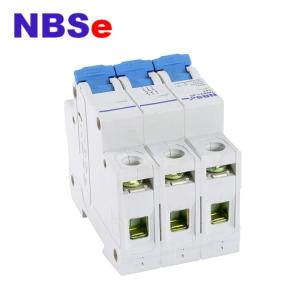 IEC60898 Double connection 2P 100A Main Switch MCB Circuit Breakers