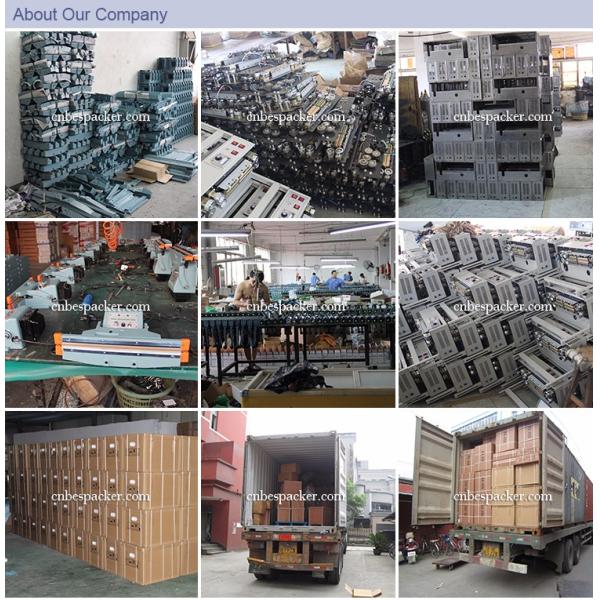 Continuous Band Automatic Sealing Machine 110V/220V Horizontal