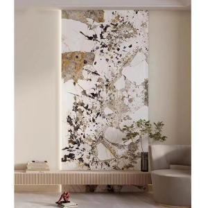 Luxury Natural Quartzite Stone Slab Hotel Villa Living Room Wall Decor Kitchen