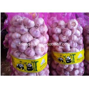 Breathable PE Mesh Woven Bag Garlic Packing Rachel Bags