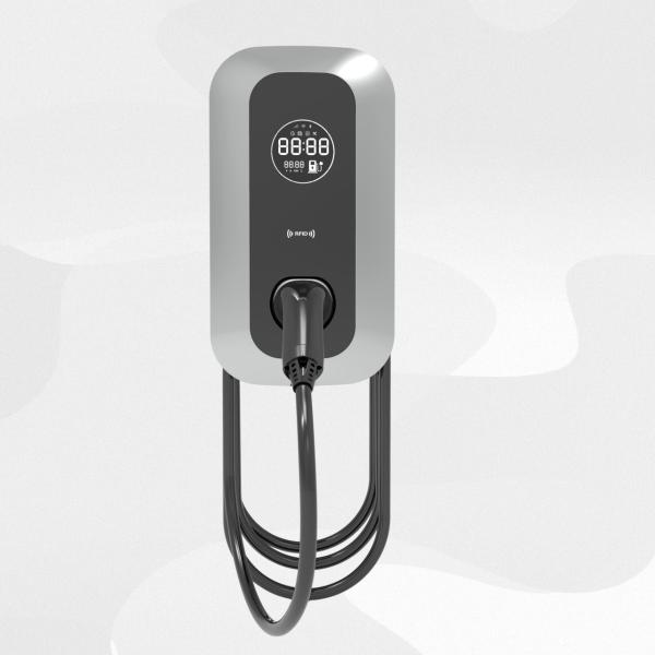 User-Friendly 7kW AC EV Charging Station With App Authentication Multilingual