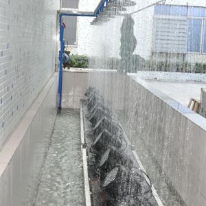 Free shipping China IP65 18x15W 5in1 RGBWA Outside LED Lights