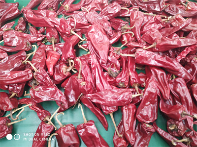 100g Natural Round Tianjin Red Chilies