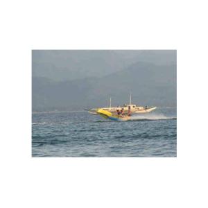 China Commercial Flying Fish Towable Inflatables With Airtight Structure on sale