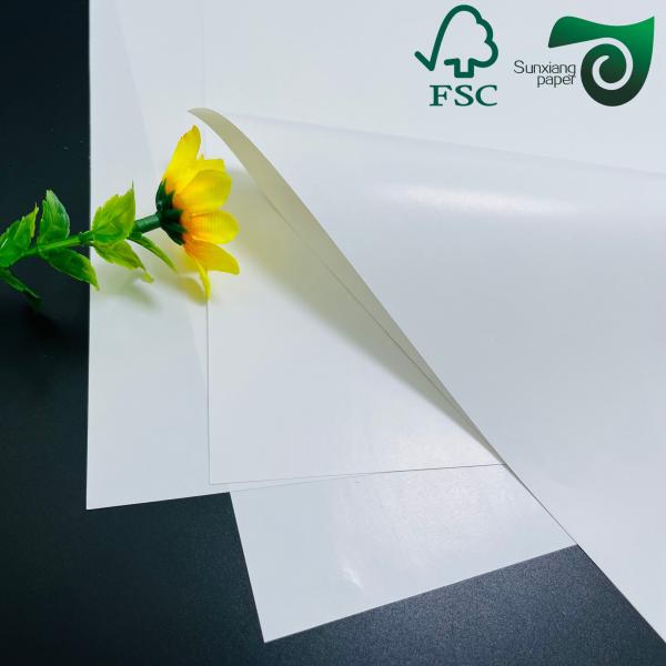 Double Sided Gloss Coated C2S White Art Cover Paper 80gsm 23 29 Inch FSC Certified