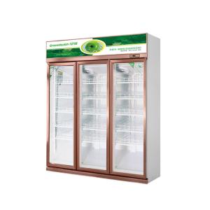R290 Beverage Display Cooler Vertical Glass Door Fridge Champagne Color