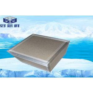 Cold Chain VIP Board Cooler Box With Thermometer And Recorder & Vaccine Cold