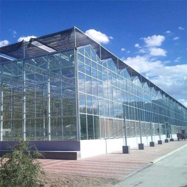 Buy Glass Multi Span Greenhouse Tropical Solar Hydroponic Flower Vegetable Growing at wholesale prices
