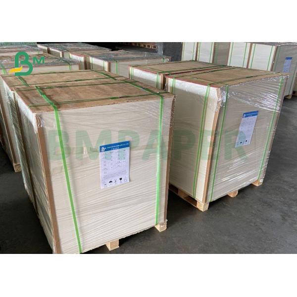 C1S Coated 300gsm 400gsm Solid Bleached Sulfate SBS 1 Side Paper Board 