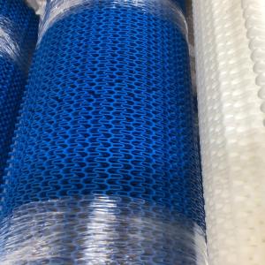 Customized Plastic Conveyor Belt for Logistics Transmission