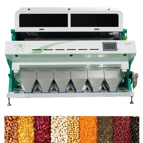 Intelligent CCD Camera 6 Chute Kidney Bean Color Sorting Machine with Easy