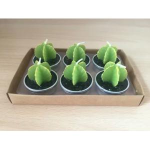 Decor green bonsai plants unscented candle with metal cup and the package of