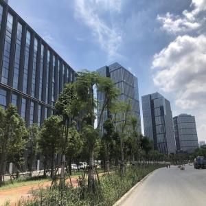 Xiamen Vano International Trade Co.,Ltd.