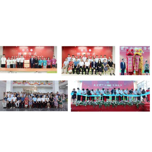 FDA Titanium Bridge Dental Implant Titanium Framework With Crown