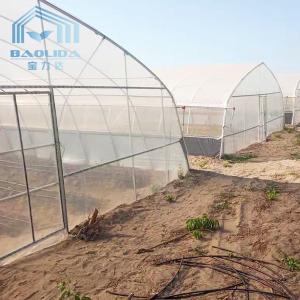 Plants Growing System Greenhouse Steel Pipe Structure Hoop Tunnel Plastic