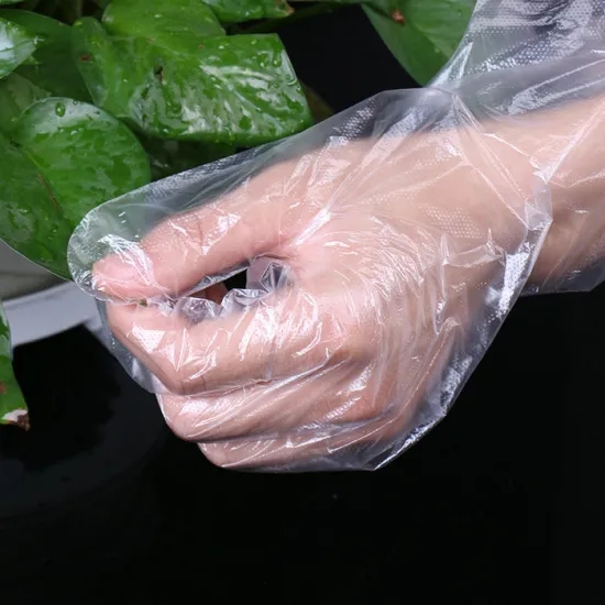 Anti Slip PE Disposable Clear Plastic Gloves With Eyelet