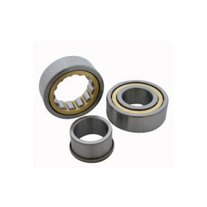 NU319 ECP Cylindrical Roller Bearing Used In Agricultural Machine NU319ECP