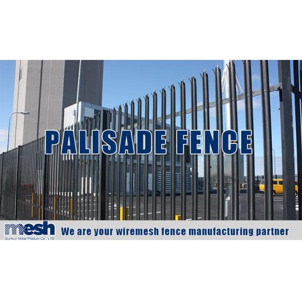 ISO9001 Powder Coated Galvanized Metal Palisade Fencing 50x50mm