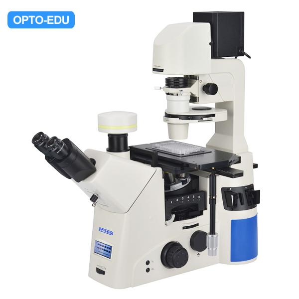 Buy OPTO EDU A14.1097 SW10x Inverted Biological Microscope SW10x/22mm at wholesale prices