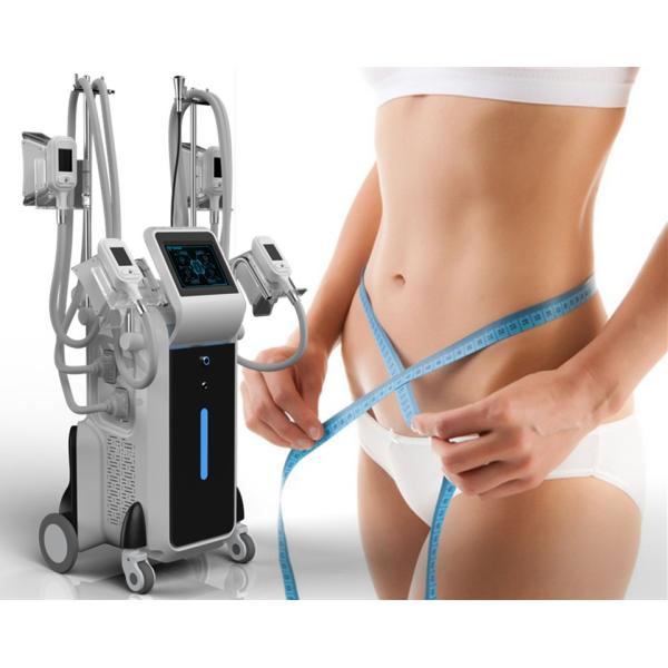 Buy 2018 Cryolipolysis slimming for cellulite reduce machine at wholesale prices