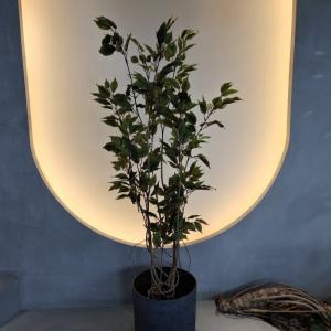 Insect Resistant Artificial Plants Indoor Artificial Green Walls 150CM