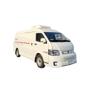 China Geely E6 Pure Electric Refrigerated Truck 5 Square Fresh Food Cold Chain Truck for Bread Type Energy Green on sale