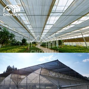 UV Protection Transparent Glass Covered Greenhouse Thickness 8mm
