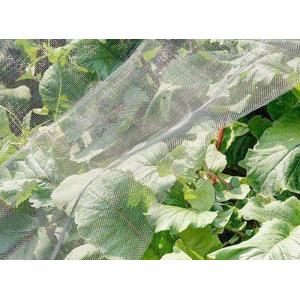 Quality Insect-Proof Net, Crops Protection Net Against Insects And Pests for sale