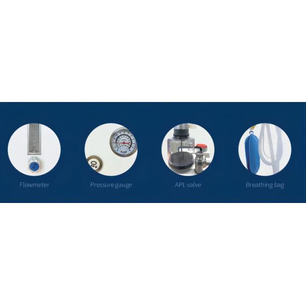 High Precision DM6D VET Animal Anesthesia Machine 280kPa-600kPa