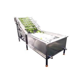 SUS304 Automatic Fruit Processing Equipment Blueberry Washing Machine