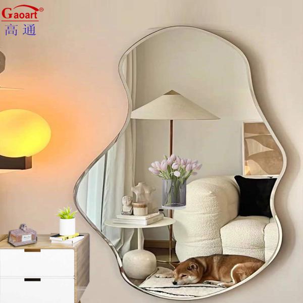 Contemporary Metal Home Decor Full Length Floor Mirror with Beveled Glass and Light