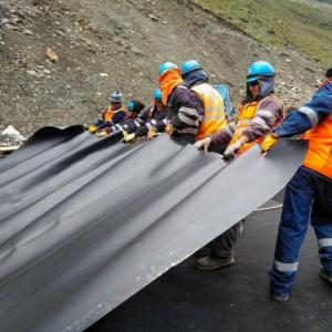 Modern Design Style Double Smooth Geomembrane Fish Pond Liner 1mm for Artificial