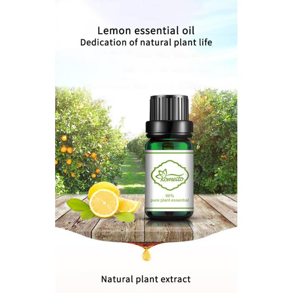 OEM ODM Pure Plant Essential Oil , 10ml Lemon Eucalyptus Essential Oil