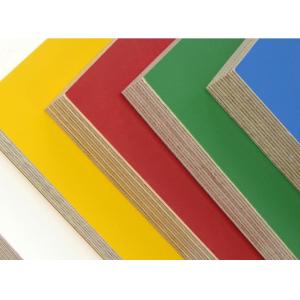 High Gloss UV Coated Commercial Grade Plywood , 25mm Eucalyptus Plywood