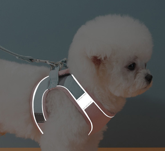 comfortable cat harness