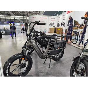 20” Fat Tire Long Tail Cargo E-bike