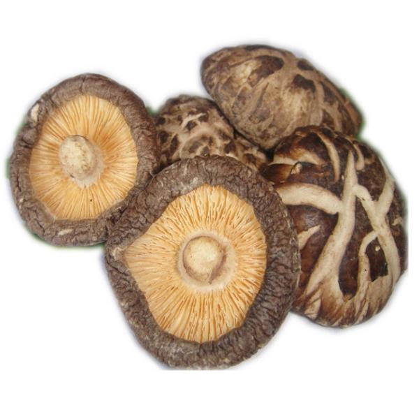 100g 250g 1kg 3kg Dry Shiitake Mushroom With BRC IFS ISO HACCP